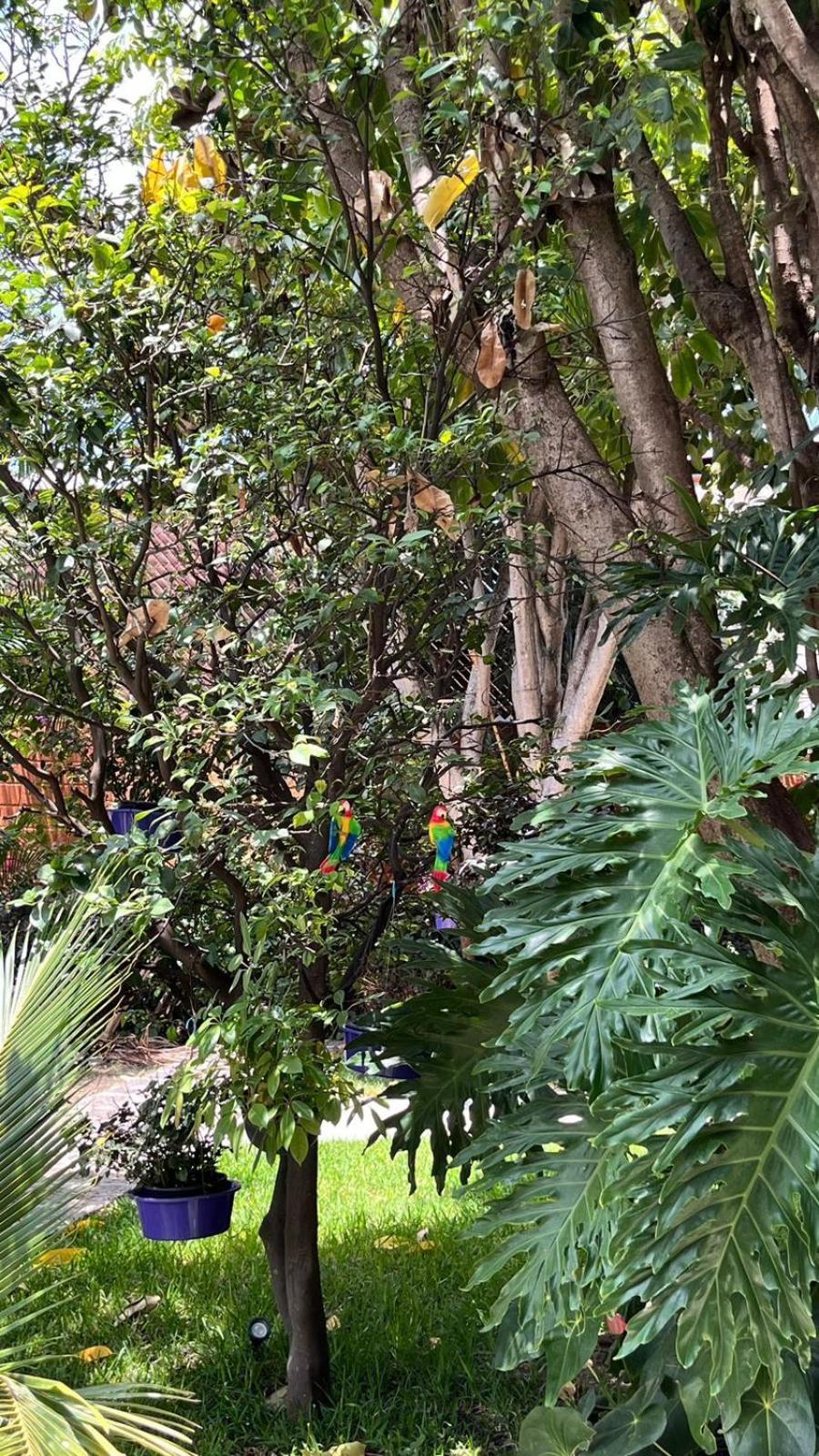 Casa Calnacazco Lejlighed Tepoztlán Eksteriør billede
